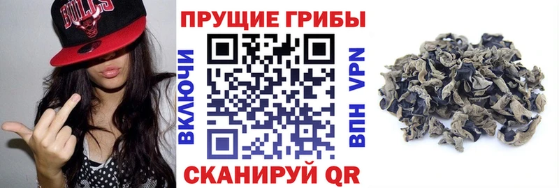 как найти закладки  Приморско-Ахтарск  Псилоцибиновые грибы Magic Shrooms 